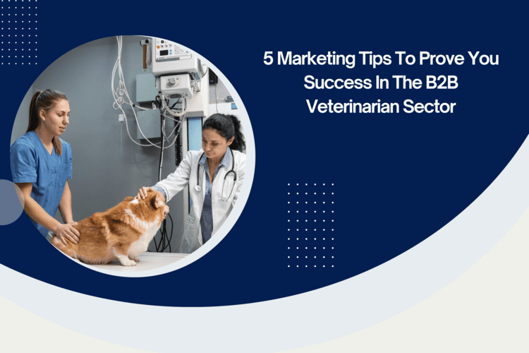 5 Marketing Tips to Prove You Success in the B2B Veterinarian Sectors