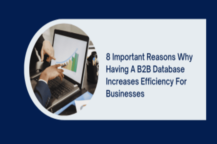 8 Important Reasons Why Having A B2B Database Increases Efficiency For the Businesses