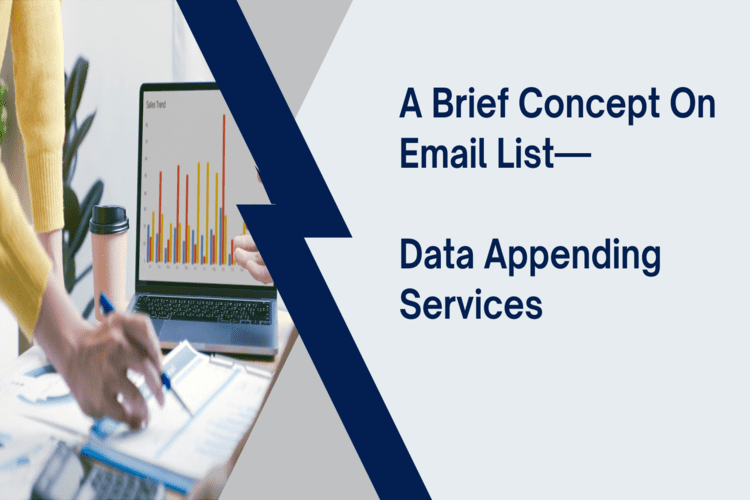 A Brief Concept On Email List—Data Appending Services