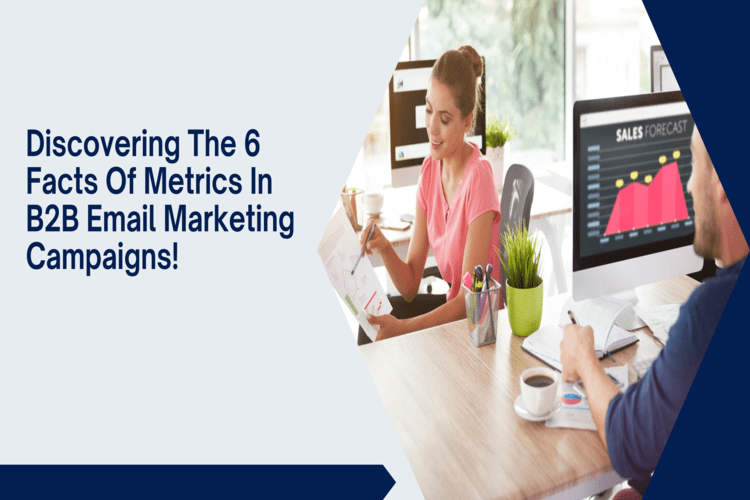 Discovering the 6 Facts of Metrics in B2B Email Marketing Campaign