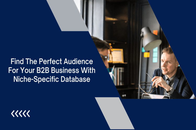 Find the Perfect Audience for your B2B Business with Niche-Specific Database 2023