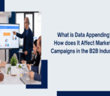 What is Data Appending How does it affect Marketing Campaigns in the B2B Industry