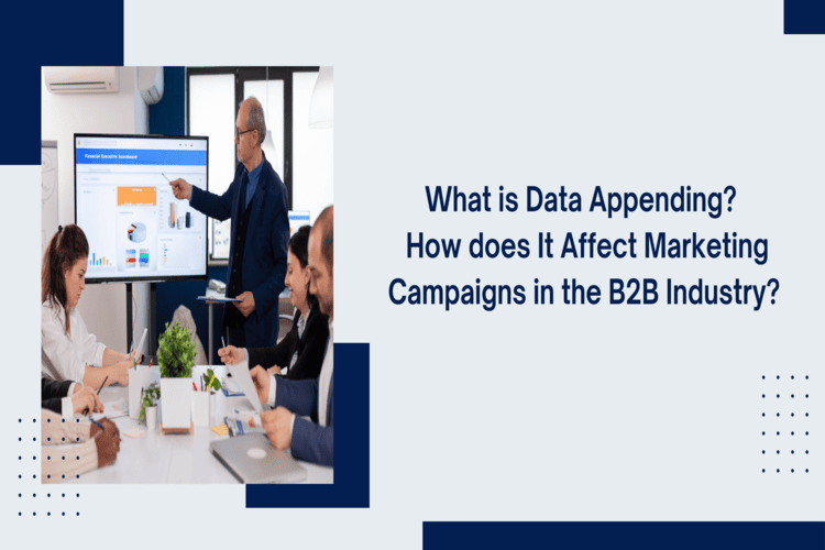 What is Data Appending How does it affect Marketing Campaigns in the B2B Industry